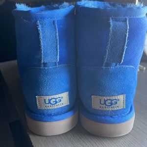 Brand new short blue uggs never worn